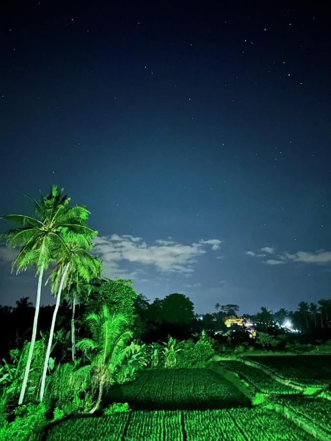 Villariz Ubud , Bali Eksteriør bilde